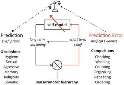 Negative self-schemas drive pathological doubt in OCD